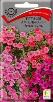 petunia_ampel_f1_velvet_smes