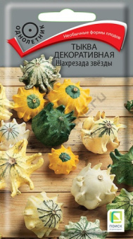 Тыква декоративная.Шахрезада Звезды
