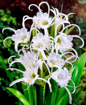 Изображение загружено обработкой по данным файла Excel