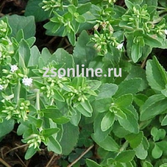 Изображение загружено обработкой по данным файла Excel