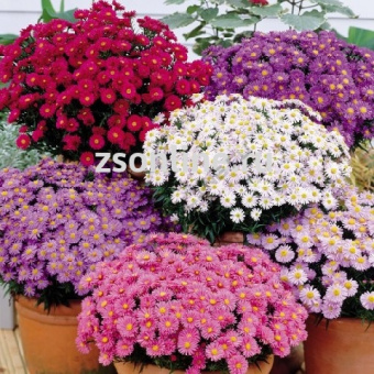 Изображение загружено обработкой по данным файла Excel