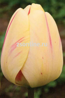 Изображение загружено обработкой по данным файла Excel