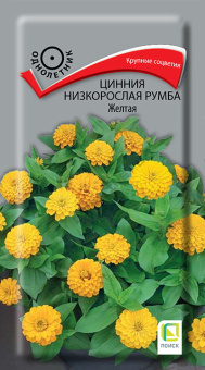 Цинния низкорослая Румба Жёлтая