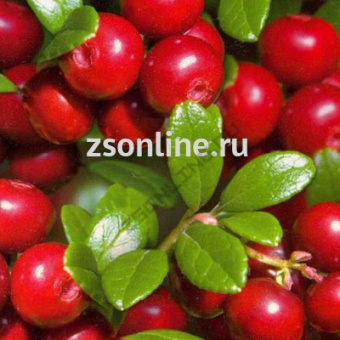 Изображение загружено обработкой по данным файла Excel