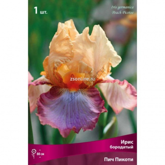 Изображение загружено обработкой по данным файла Excel