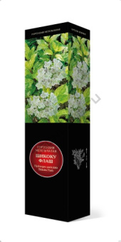 Гортензия метельчатая Шикоку Флаш/ЦКорЛюкс