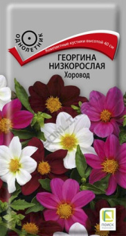 georgina_nizkorosl_horovod