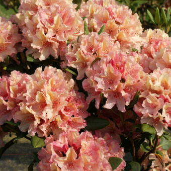 31cd8c9ef9f9dca50b8f16737b10d86c