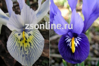 Изображение загружено обработкой по данным файла Excel