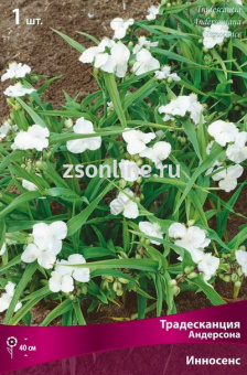 Изображение загружено обработкой по данным файла Excel