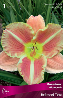 Изображение загружено обработкой по данным файла Excel