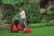 WOLF-Garten Multi-Star DR-M 3