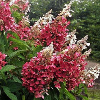 Изображение загружено обработкой по данным файла Excel