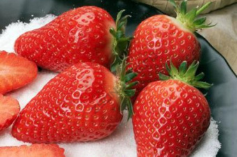 Земляника садовая Альба (Р9) (ранний, крупноплодный, универсальный)