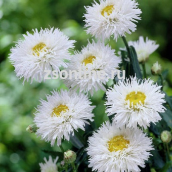 Изображение загружено обработкой по данным файла Excel