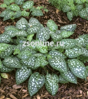 Изображение загружено обработкой по данным файла Excel