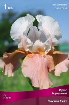 Изображение загружено обработкой по данным файла Excel