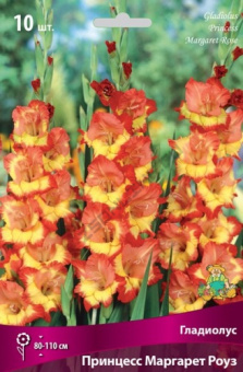 Гладиолус Принцесс Маргарет Роуз 10-12/К 10шт