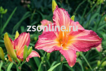 Изображение загружено обработкой по данным файла Excel