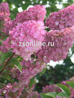 Изображение загружено обработкой по данным файла Excel