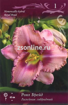 Изображение загружено обработкой по данным файла Excel