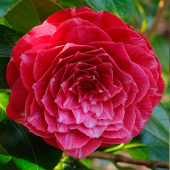 47a1cc42_ff28_11e9_ac04_d485645420e6_adce2699_0639_11ea_a521_d485645420e6