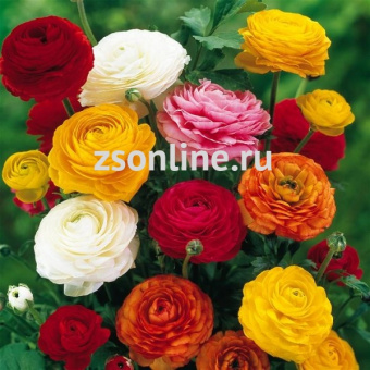 Изображение загружено обработкой по данным файла Excel