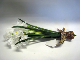 Искусственное растение Нарцисс с луковицей кремовый  GS1540071