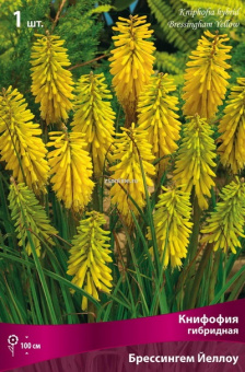 Изображение загружено обработкой по данным файла Excel