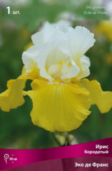 Изображение загружено обработкой по данным файла Excel