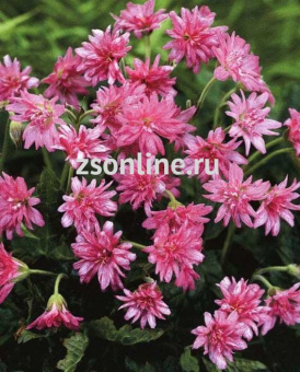 Изображение загружено обработкой по данным файла Excel