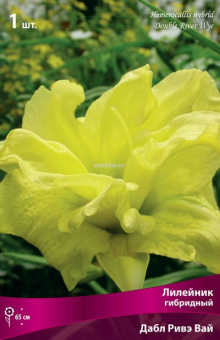 Изображение загружено обработкой по данным файла Excel