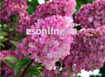 Изображение загружено обработкой по данным файла Excel