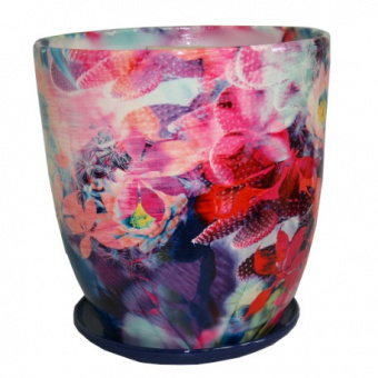 11 053998