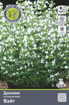 Душевик котовниковый Вайт/К