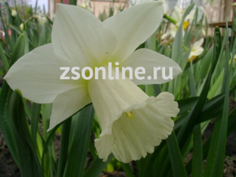 Изображение загружено обработкой по данным файла Excel