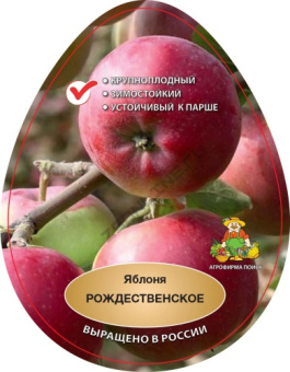 Яблоня Рождественское 2-х лет /подвой 54-118 полукарл/С