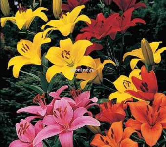 Изображение загружено обработкой по данным файла Excel