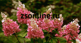 Изображение загружено обработкой по данным файла Excel