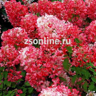 Изображение загружено обработкой по данным файла Excel