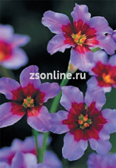 Изображение загружено обработкой по данным файла Excel