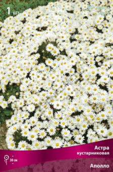 astra_kustar_apollo_kaper