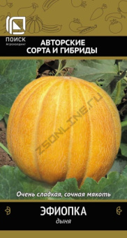 Дыня Эфиопка (А) (ЦВ) 15шт