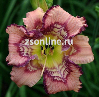 Изображение загружено обработкой по данным файла Excel