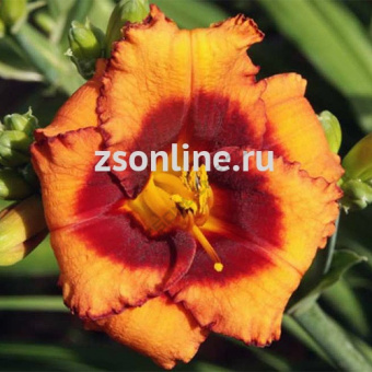 Изображение загружено обработкой по данным файла Excel