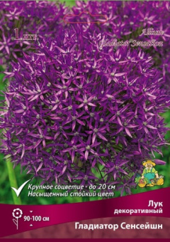 Лук декоративный Гладиатор Сенсейшн 18-20/К