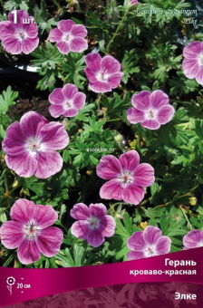 Изображение загружено обработкой по данным файла Excel