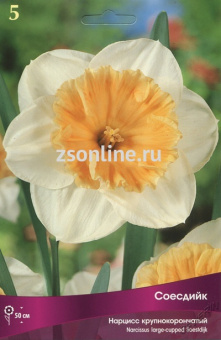 Изображение загружено обработкой по данным файла Excel