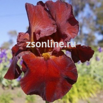 Изображение загружено обработкой по данным файла Excel