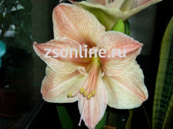 Изображение загружено обработкой по данным файла Excel